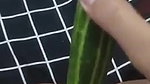 bokep abg colmek pake Timun Area Bokep