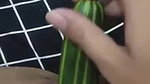 bokep abg colmek pake Timun Area Bokep