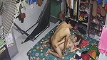 bokep indo pemilik toko baju ngewe ketahuan di cctv Area Bokep