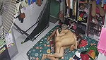 bokep indo pemilik toko baju ngewe ketahuan di cctv Area Bokep