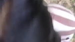 bokep indo nyepong kontol om lanjut ngewe Area Bokep