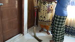 Sasur ji fucked Desi newly married Bahu when she was sweeping – Indian Jabardasti Anal Chudai (Huge Ass Fuck & cum out)
