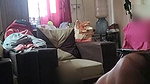 BBC gy fuck local call girl – 76