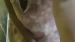 Indian Babe Slow Gown Lift Tease – No Face – 4K High Quality