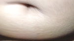 Indian Daver bhabhi hindi romance video mast