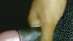 Indian wife sex videos
