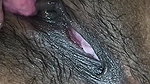 Jilat memek dasi bengali babhi