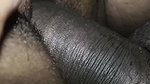 Jilat memek dasi bengali babhi