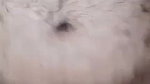 Mai Lucknowdomboy aur meri sex partner hotqueeen pehli baar sex video bana rahe sexy figure