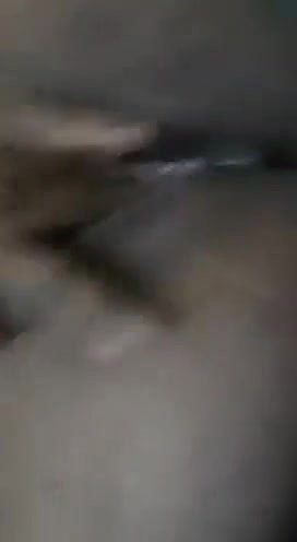 Bhabhi wet bhosda showing