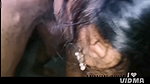 My stepsistre daly cum drink