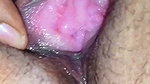 Pusssy licking