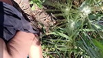 Real Outdoor Sex With Beautiful Girl