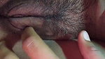 Sexy Video Chut Ka