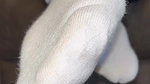 Silent Sock Tease – Ivys Feet – Footivities