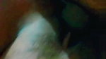 Stepsister ka saat sex