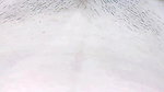 Suhagraat First Night Sex with Small Penis Sissy Husband
