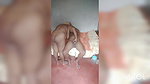Thrilling performance videos