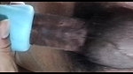 Throbbing Cock Creampied Silicone Pusssy