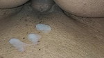 Try to fuck indian hot school teacher sunni sex in bikini dress