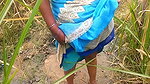 village aunty showing her pussy to ex-boyfriend in sugarcane plantation