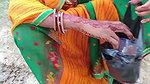 village bhabhi fucking hot video