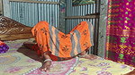 While cooking bhabhi ji I had fun at home