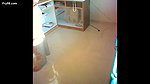 Mature Office Couple Sex MMS