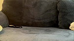 Cute_Crystal Your_falak 11 Private show hot pussy fingering