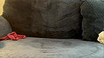 Cute_Crystal Your_falak 11 Private show hot pussy fingering