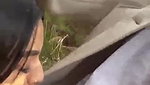 Beautiful NRI Outdoor Blowjob Bdsm Fucking & showing Updates 7