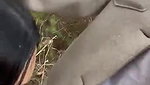 Beautiful NRI Outdoor Blowjob Bdsm Fucking & showing Updates 7