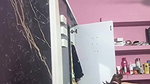 HOT DESI NORTHEAST MAAL SHOWING SEXY BODY & FINGERING HAIRY PUSSY 4 CLIPS 4