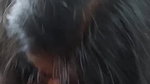 Horny Bengali Girl Arthi Full Collection 1 gb 7