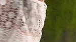 Sexyindianwife jungle safari 2
