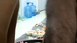 Couplecup Ticket show hot fucking cum on boobs