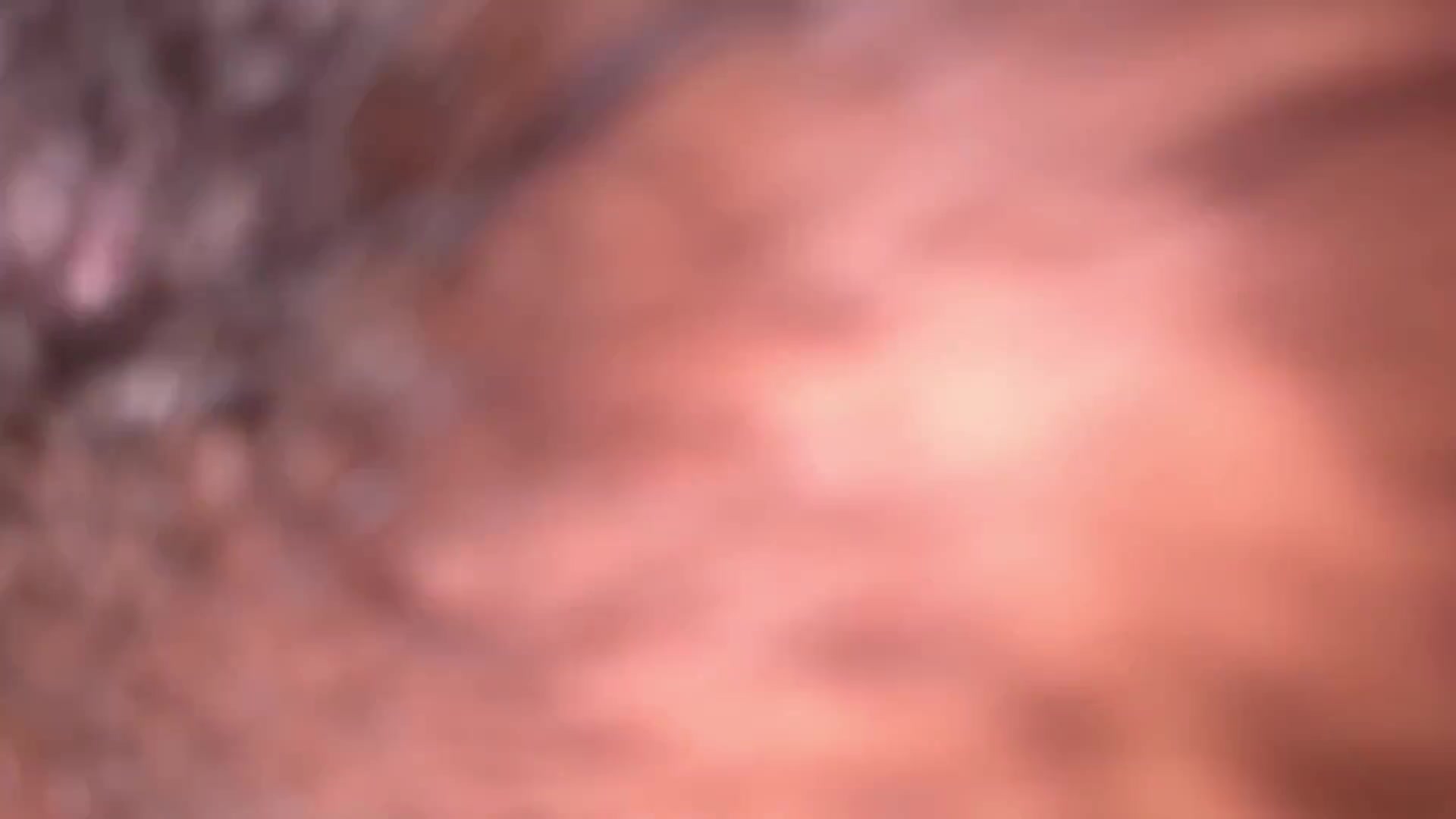 Frame 2