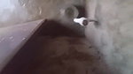 Aaj morning time mein land khada ho gaya building mein desi aunty ki sexy chudai