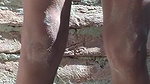 Bangladeshi Hot Girls Sexy Videos