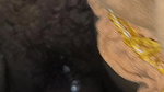 Bihar girl enjoying with desi bhabhi Pooja brother-in-law
