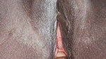 Biwi ki chut chatkar biwi ko maja diya