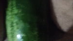 Busty bitch playing with herself and fucking herself with a cucumber