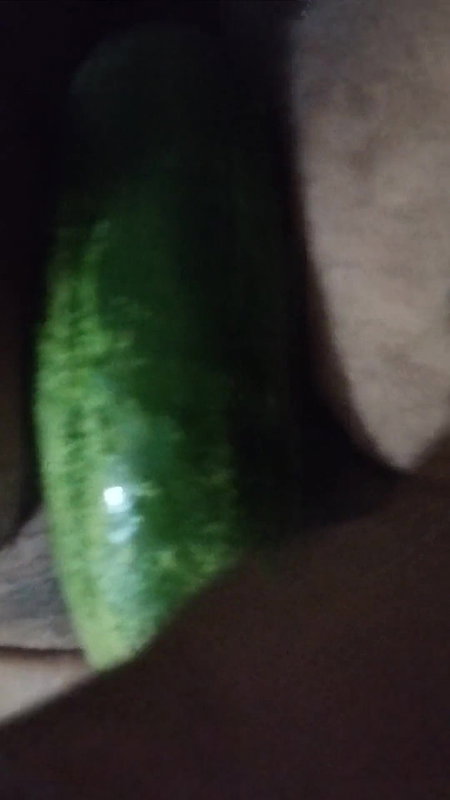 Busty bitch playing with herself and fucking herself with a cucumber