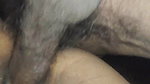 Chamka video