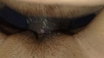 Cuming on girlfriends ass