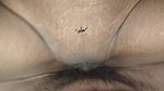 Desi girl got fucked in boyfriend room