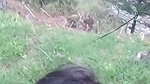 Desi outdoor blowjob compilation miss mahi 2007 18 year old teen girl