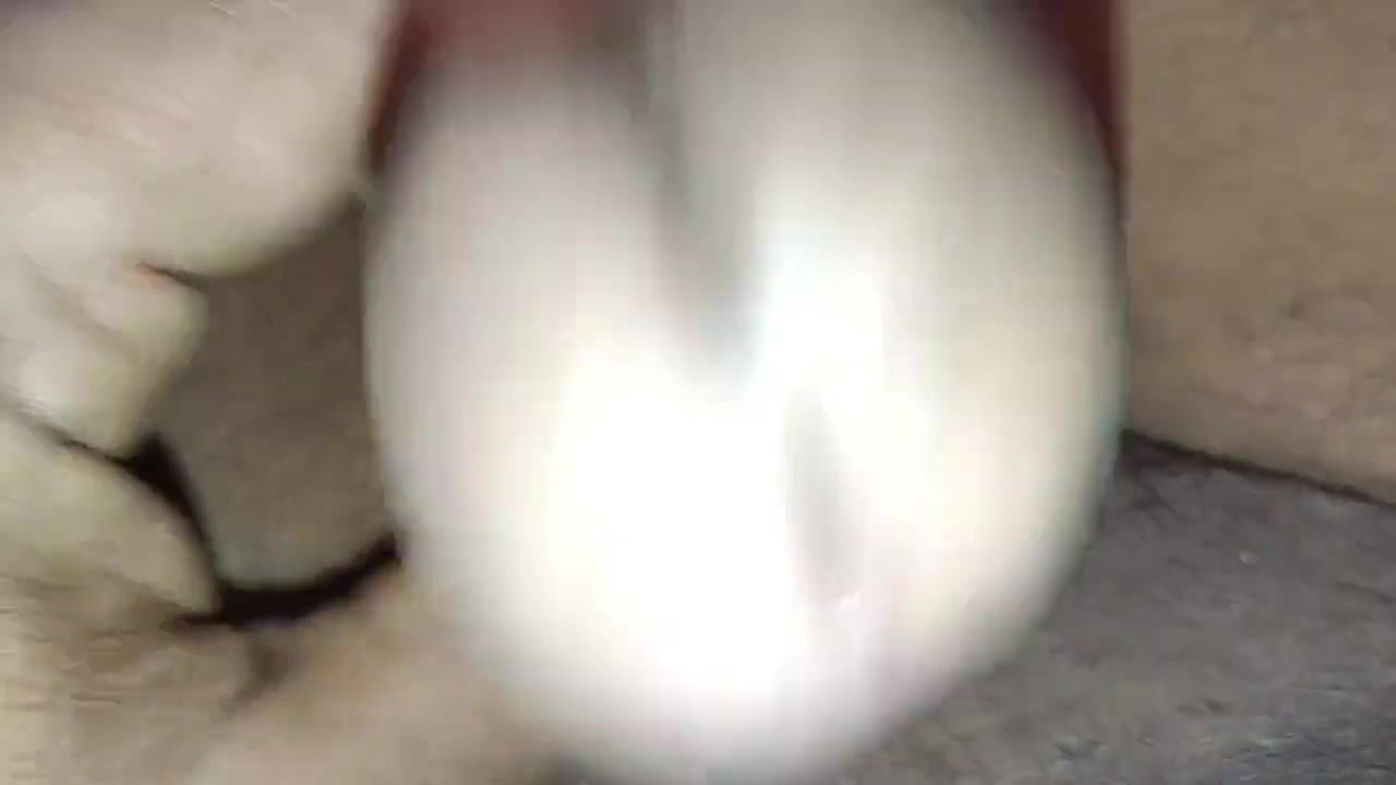 Desi punching