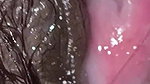 Feel the Breath in Full Cum Inside the Indian Pussy