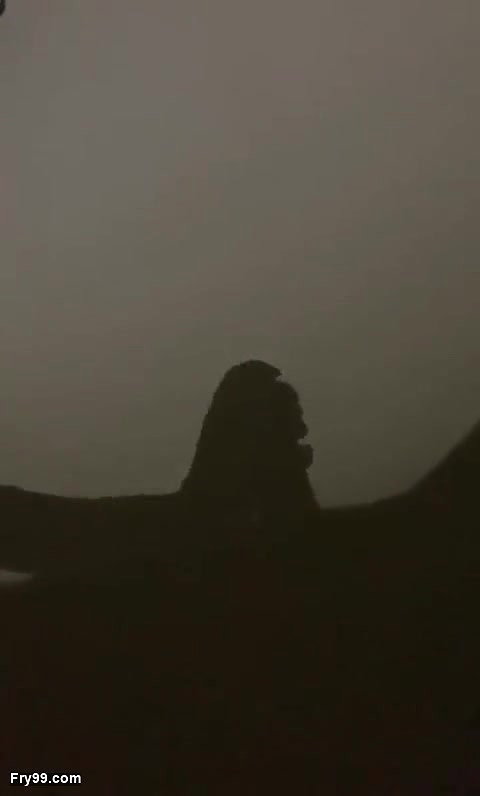 Foreplay shadow show mallu girl